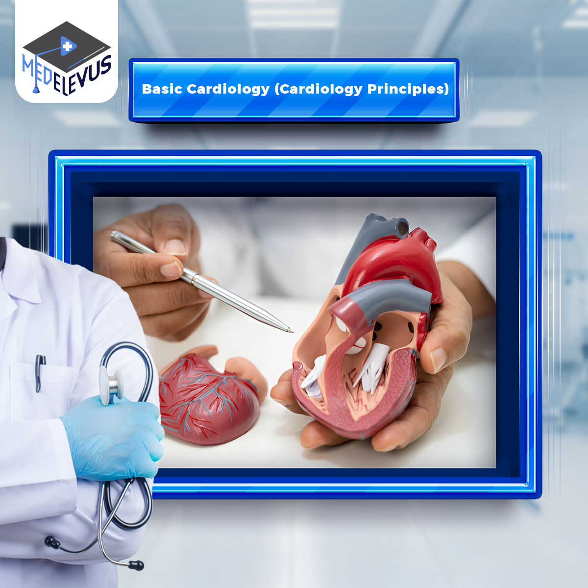 Basic Cardiology (Cardiology Principles)